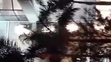 Mulher Foi Flagrada Fazendo um Boquete em Empresário em Uma Sala de Vidro do Shopping Taguatinga – Amadores