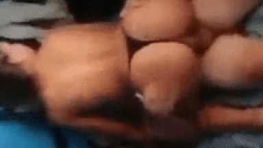 Deliciosa de galeguinha novinha fudendo a todo vapor nesse porno