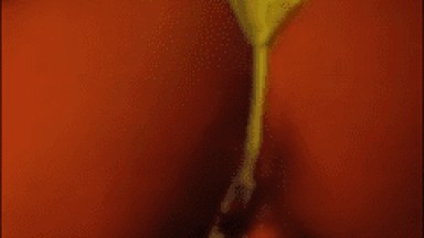 Namorado Taradao Faz Essa Gostosa Trabalhar Deliciosamente em Seu Pau Rebolando Muito Gostoso
