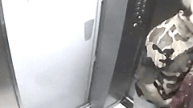 Câmera Escondida Flagra Casal Amador Metendo Muito Gostoso No Elevador de Casa