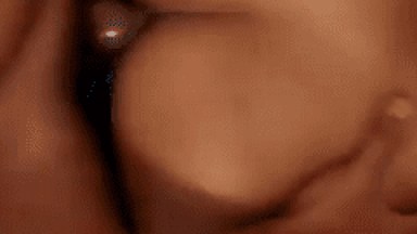 Video Porno Amador de Amante Tarado Filmando Foda Com Oziete A Safada Gostosa do Ceará
