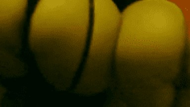 Video Caseiro de Suruba Amadora Com Várias Gostosas Que Adoram Uma Boa Orgia Gostosa