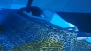 Flagra Amador Sensacional de Casal Metendo na Boate e Geral Filmando a Putaria