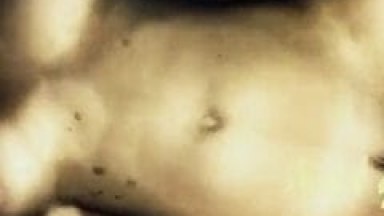 Contribuição de Video Porno Amador Brasileiro do Casal Sampa Metendo Muito Gostoso