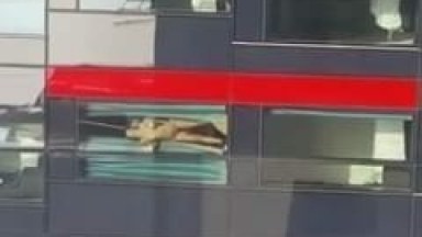 Flagra Amador Real de Casal Trepando na Janela de um Motel Enquanto Funcionários de um Escritório Filmam do Celular – Xvídeos